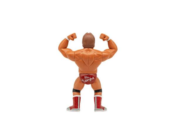 "Mr. Wonderful" Paul Orndorff