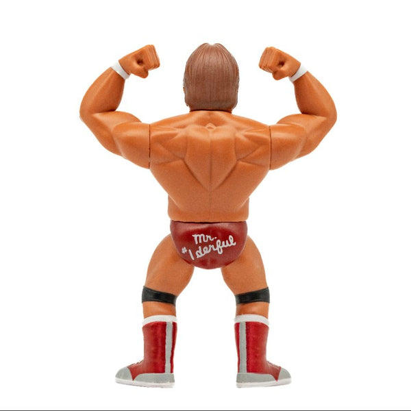 "Mr. Wonderful" Paul Orndorff