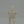 Harley Race – Test Shot